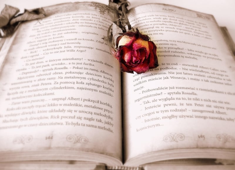 Arcane Knowledge